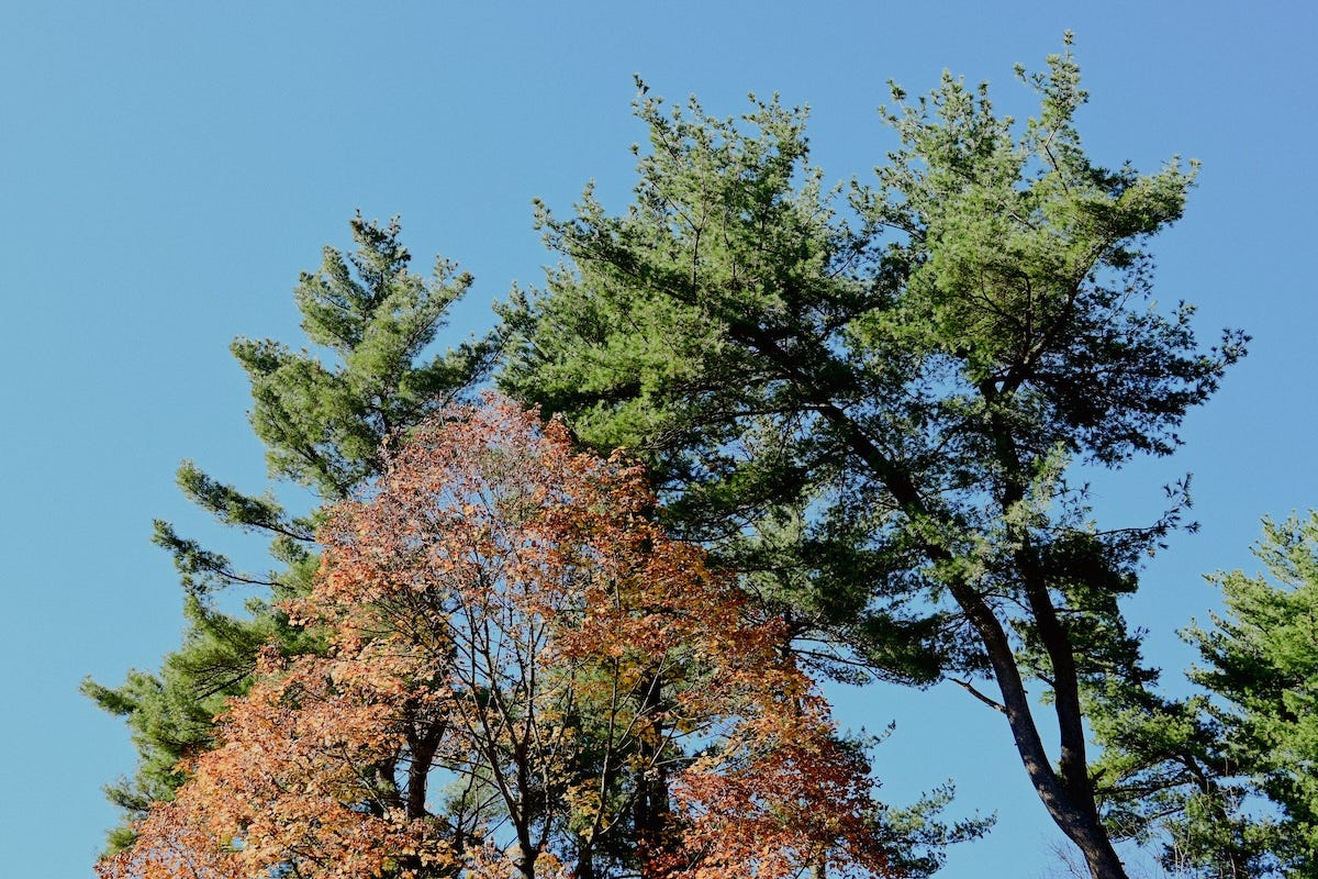 Quitting social media is easier with others