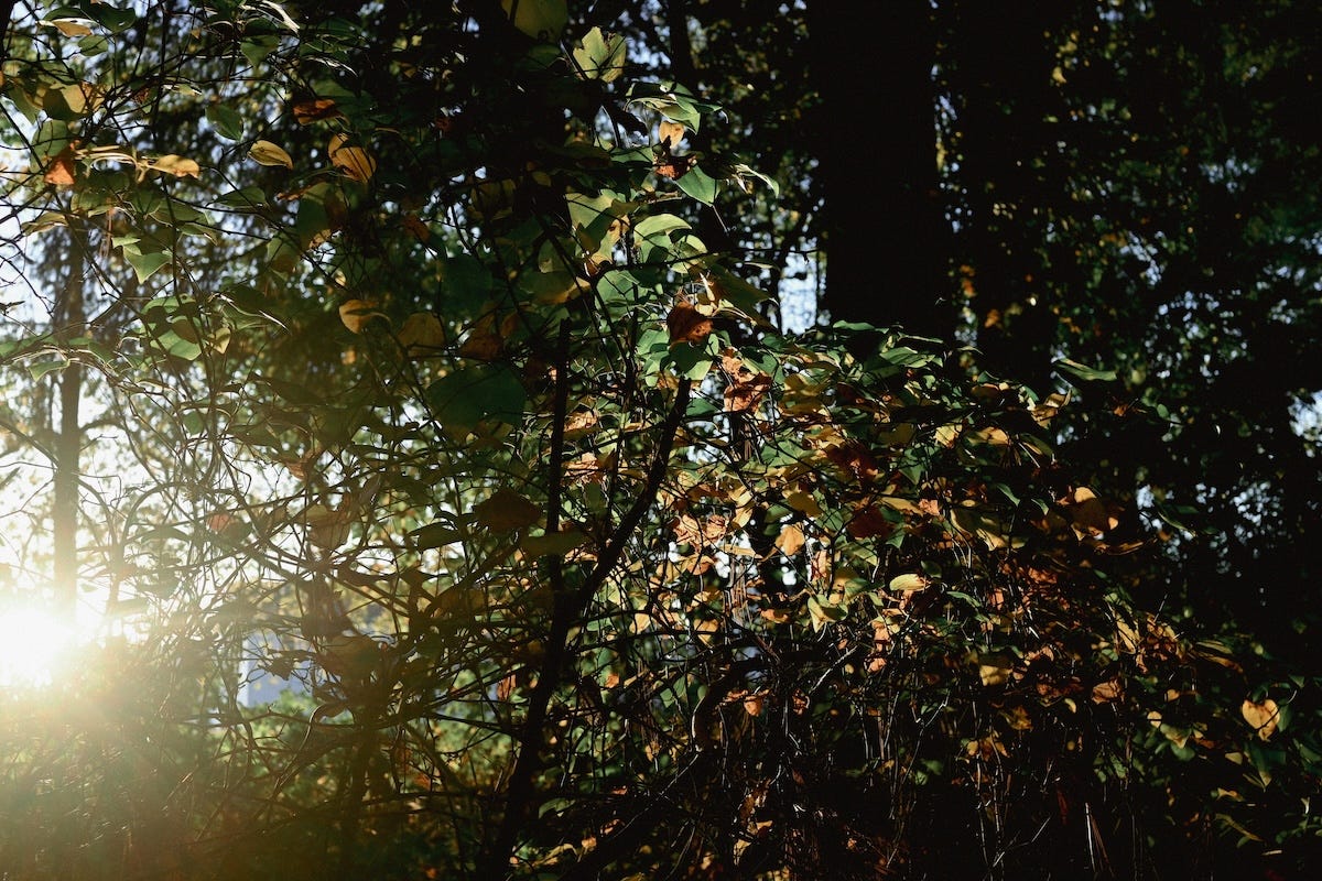 Social media FOMO is a lie