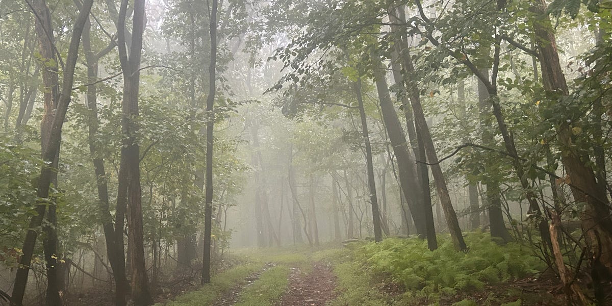 Start Saying Not My Business