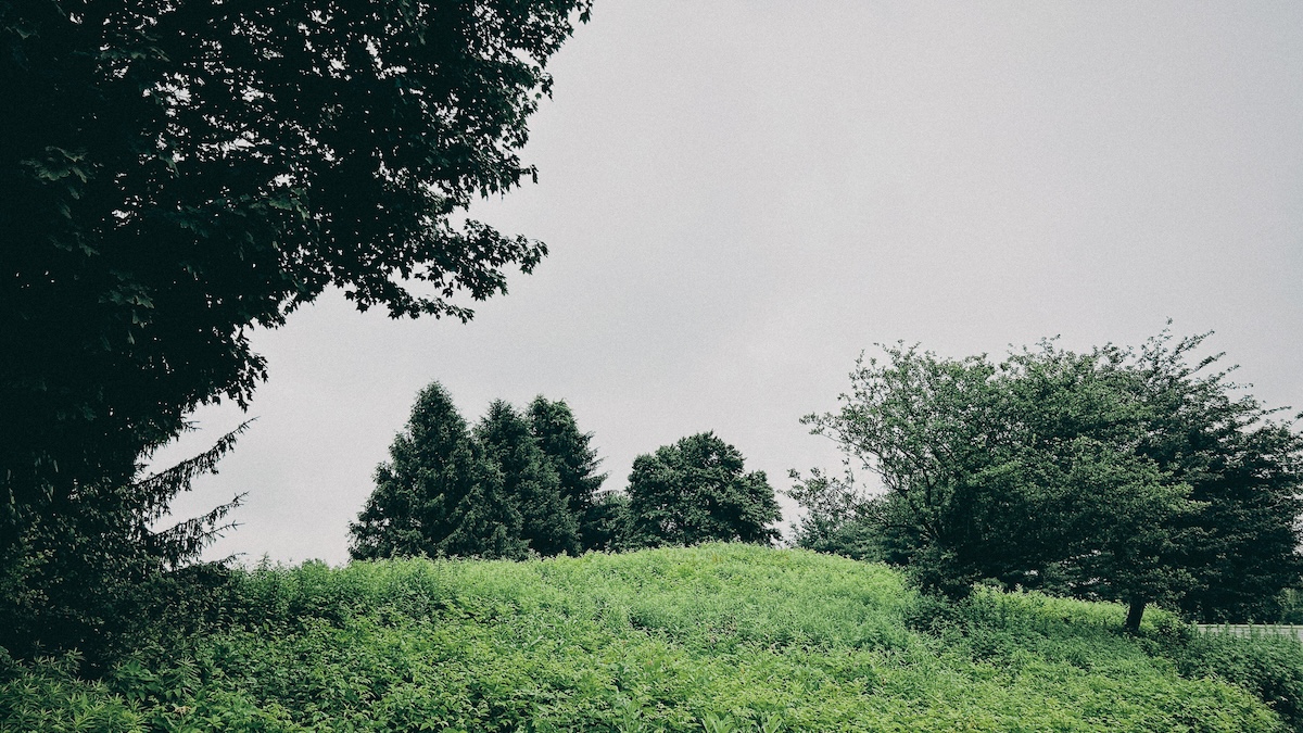 Shot with NOMO CAM 135 TC.