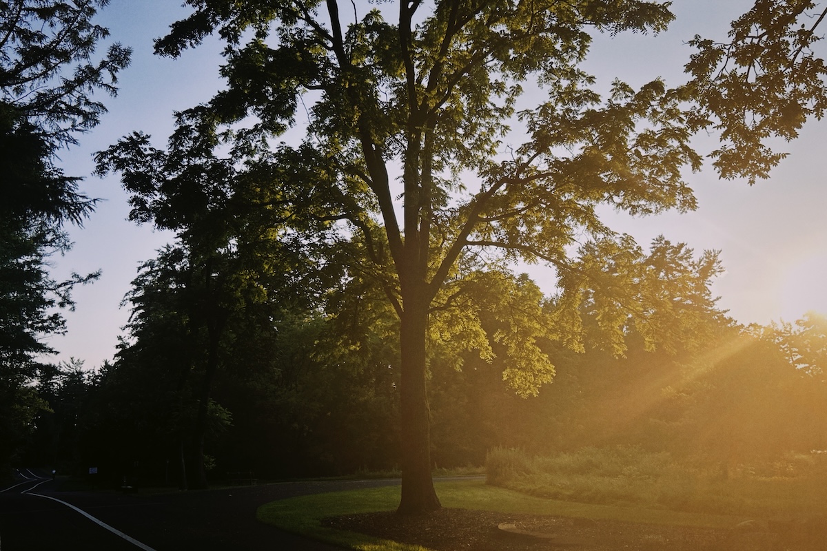 Shot with NOMO CAM 135 T3.