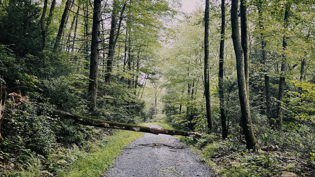 Shot with NOMO CAM 135 T3.